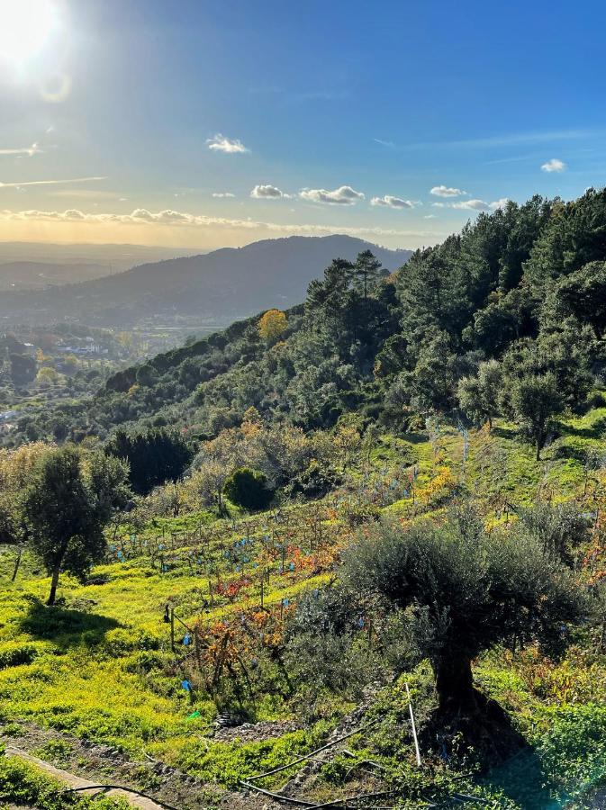 Appartamento Quinta Altamira Portalegre Esterno foto